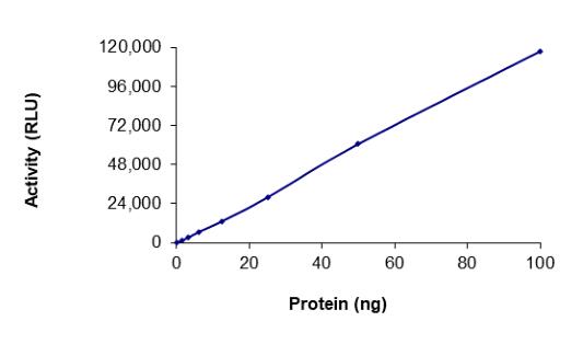 The specific activity of PAK2 (Y443N) was determined to be 4.4 nmol/min/mg as per activity assay protocol.